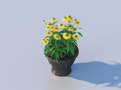 flowerpot potted plant green plant