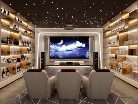 Affordable Luxury Style Video Room Movie Room Movie Room