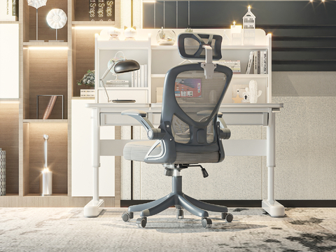 Office Chair Book Chair E-Sports Chair Mesh Chair