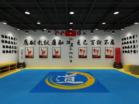 Modern Taekwondo Training Classroom