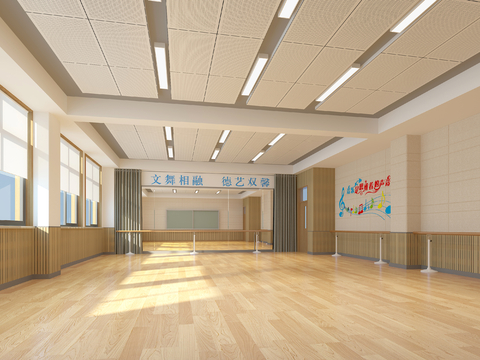 Modern School Rehearsal Room Dance Room