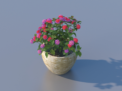 flowerpot potted plant green plant