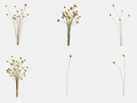 Golden Mallet Flower Dried Flower Flower Arrange