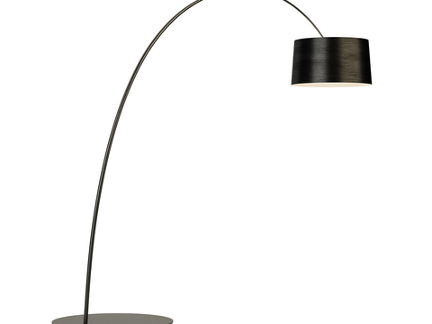 Modern floor lamp