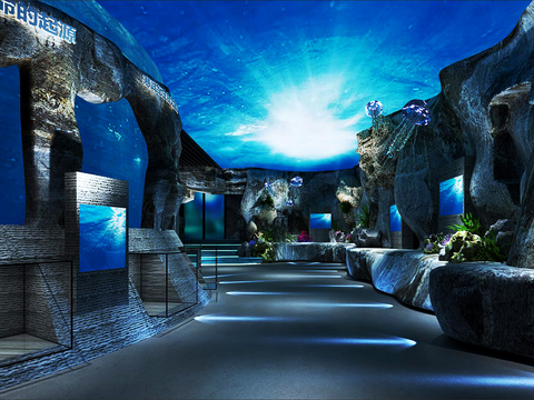 Museum of Marine Biology