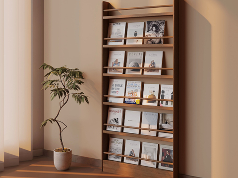 Antique Bookshelf Magazine Rack