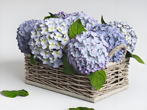 Hydrangea Flower Basket Floriculture Ornaments