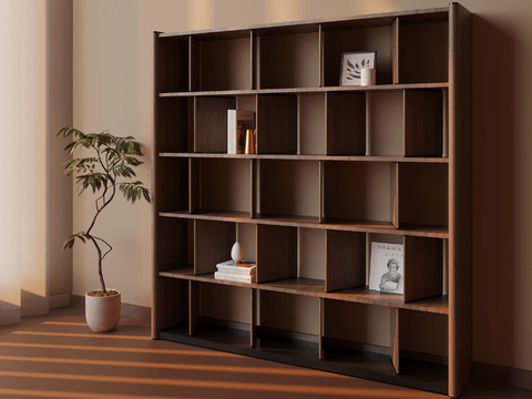 Modern Bookshelf