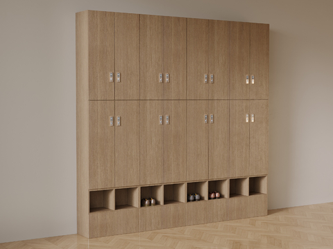 Modern Locker