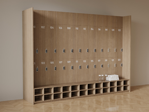 Modern Locker