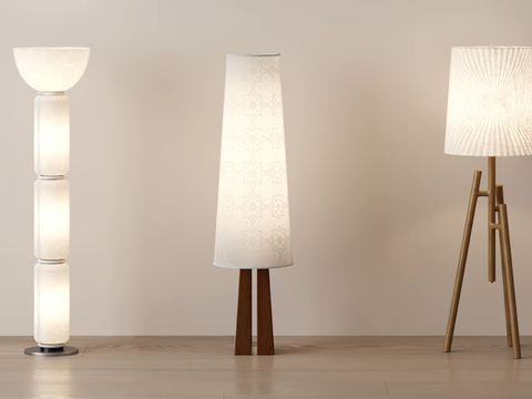 Modern Floor Lamp Decorative Light