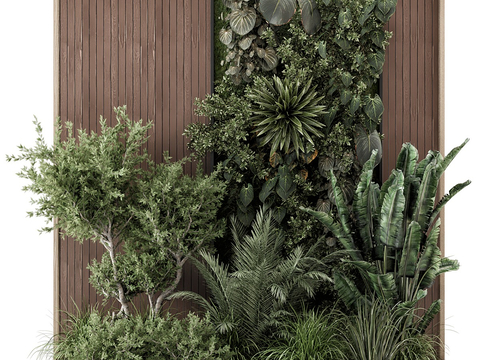 Landscape Plants Plant Wall