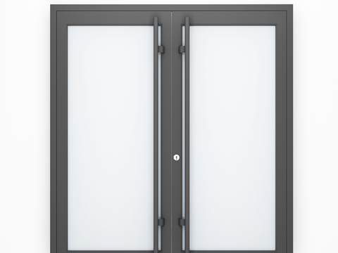 Modern double door swing door