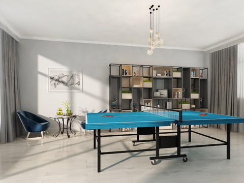 Recreation area Modern table tennis room