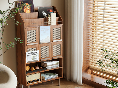 Mid-century Style Magazine Cabinet