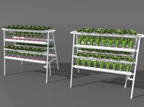 hydroponic plant crop plant stand