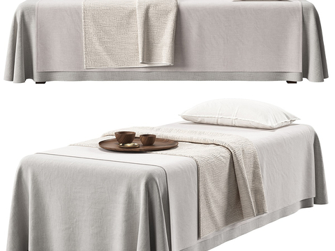 Massage Bed Spa Bed Beauty Bed