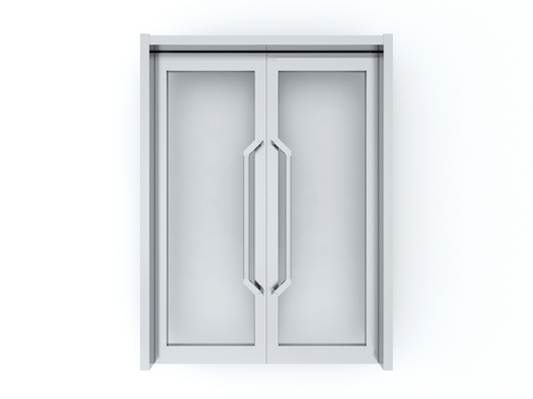 Modern double door glass door