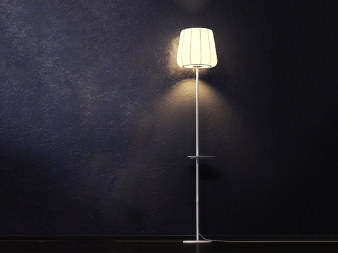 Chinese floor lamp free