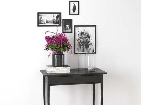 Modern Plant Hanging Picture Slipper Table