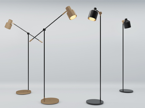 Modern floor lamp