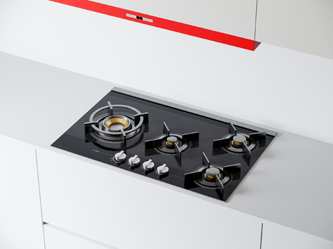 Multi-eye gas stove