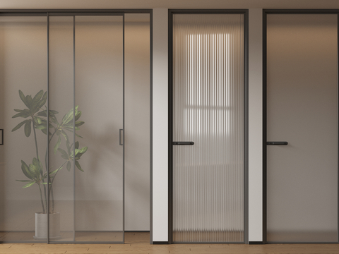 Modern Very Narrow Border Single Door Glass Door