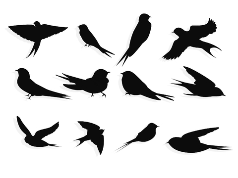 Swallow Silhouette Bird Wall Decoration