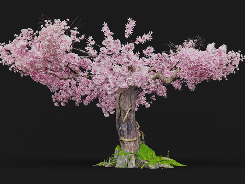 Sakura Tree Landscape Tree