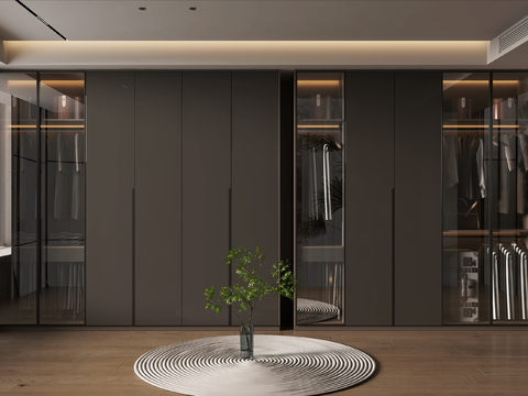 Modern Wardrobe Closet