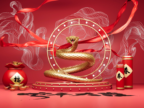 National Tide Year of the Snake Spring Festival Art Display Year of the Snake Meichen