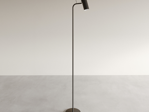 Modern floor lamp