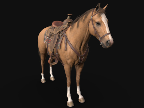 horse horse saddle