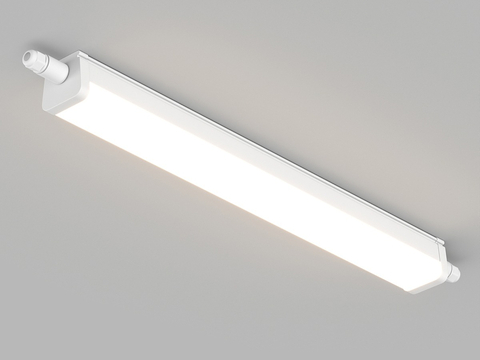 Long lamp tube simple ceiling lamp incandescent lamp