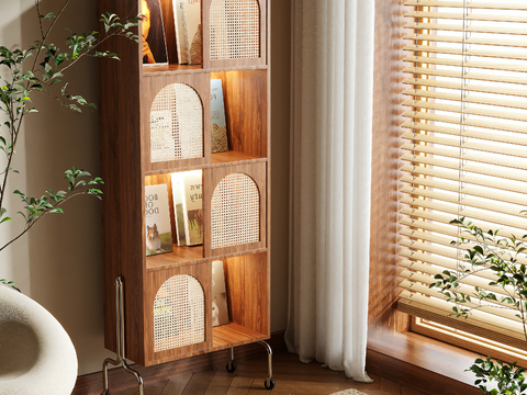 Antique Bookcase Storage Cabinet