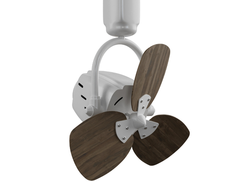 ceiling fan fan