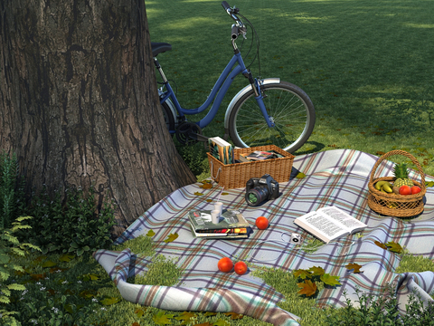 Camping Bike Picnic Camping Equipment