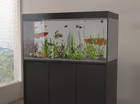 Modern Fish Tank Glass Fish Tank Aquarium