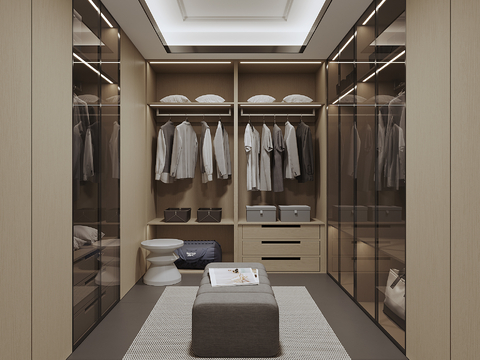 Modern Cloakroom