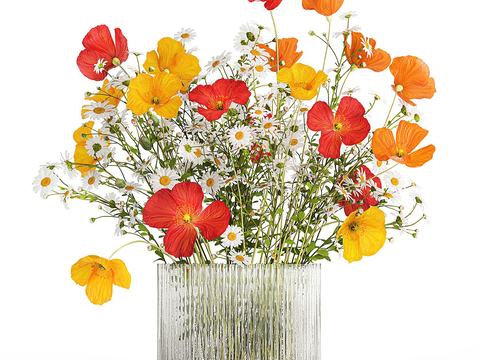 Vase Flowers Floriculture Flowers Daisy