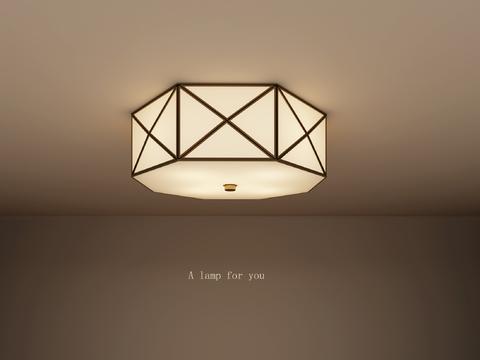 Creative ceiling lamp living room lamp bedroom lamp