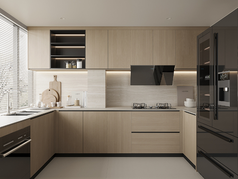 Modern Kitchen Cabinets