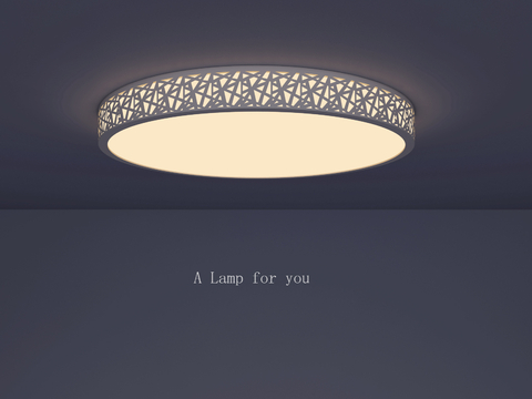 Simple ceiling lamp living room lamp