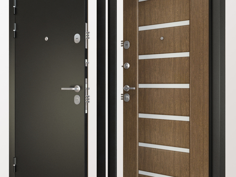 Modern metal entrance door security door