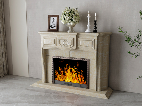 French Fireplace Stove Flame