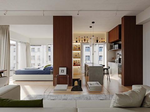 Modern Single Apartment