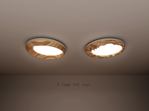 New Chinese wooden ceiling lamp round ceiling lamp