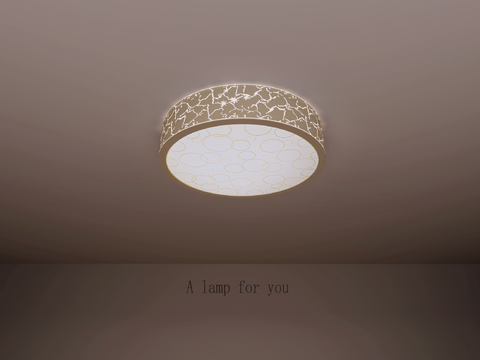 Modern round ceiling lamp