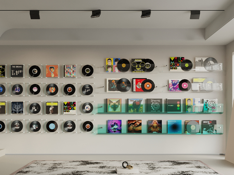 Record Ornaments Vinyl CD Wall Ornaments