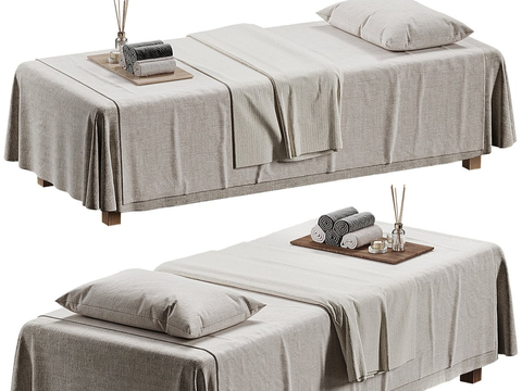 Massage Bed Spa Bed Beauty Bed